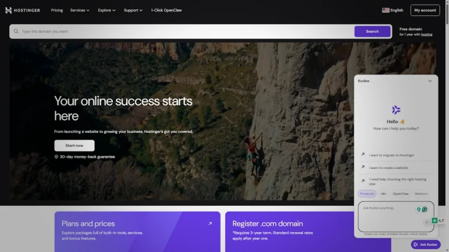 Hostinger – Web Hosting Provider